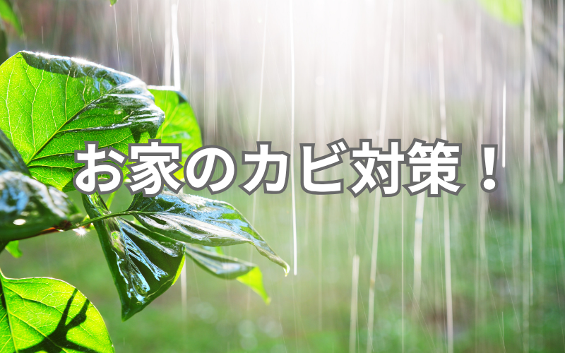 お家のカビ対策