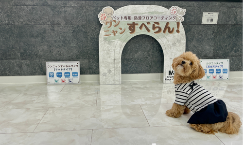 ペットと暮らす家のためのフロアコーティングガイド