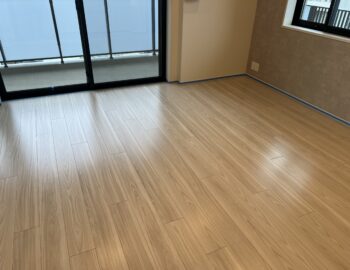 セラミックガラスコーティング微光沢_施工後